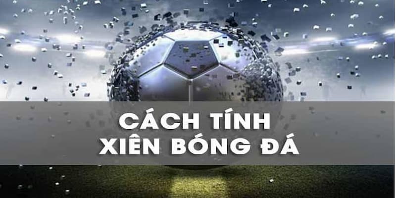 Cách đọc kèo xiên cho tân thủ khi chơi cá độ bóng đá